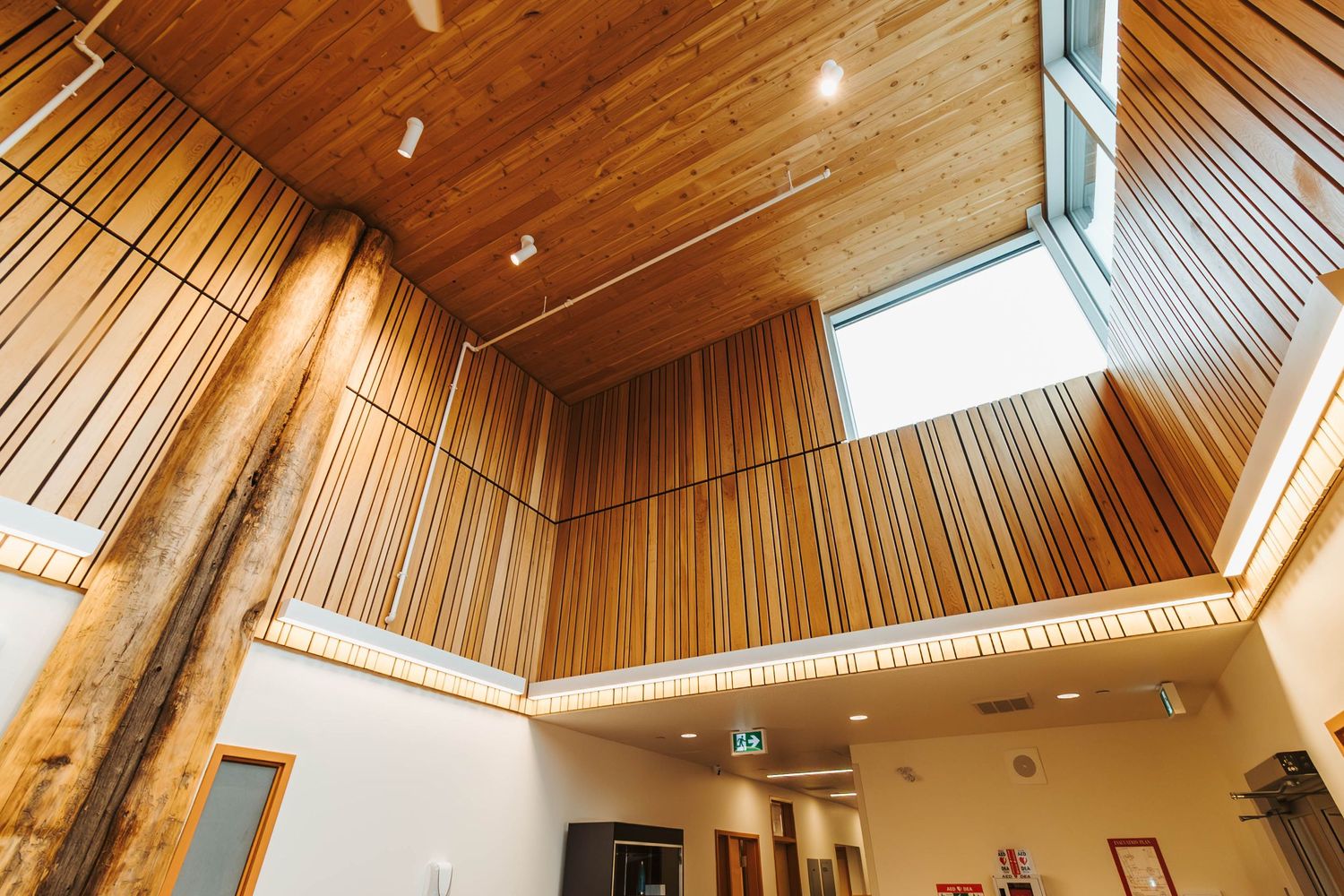 Architectural interior featuring high wooden ceilings with natural light from skylights.