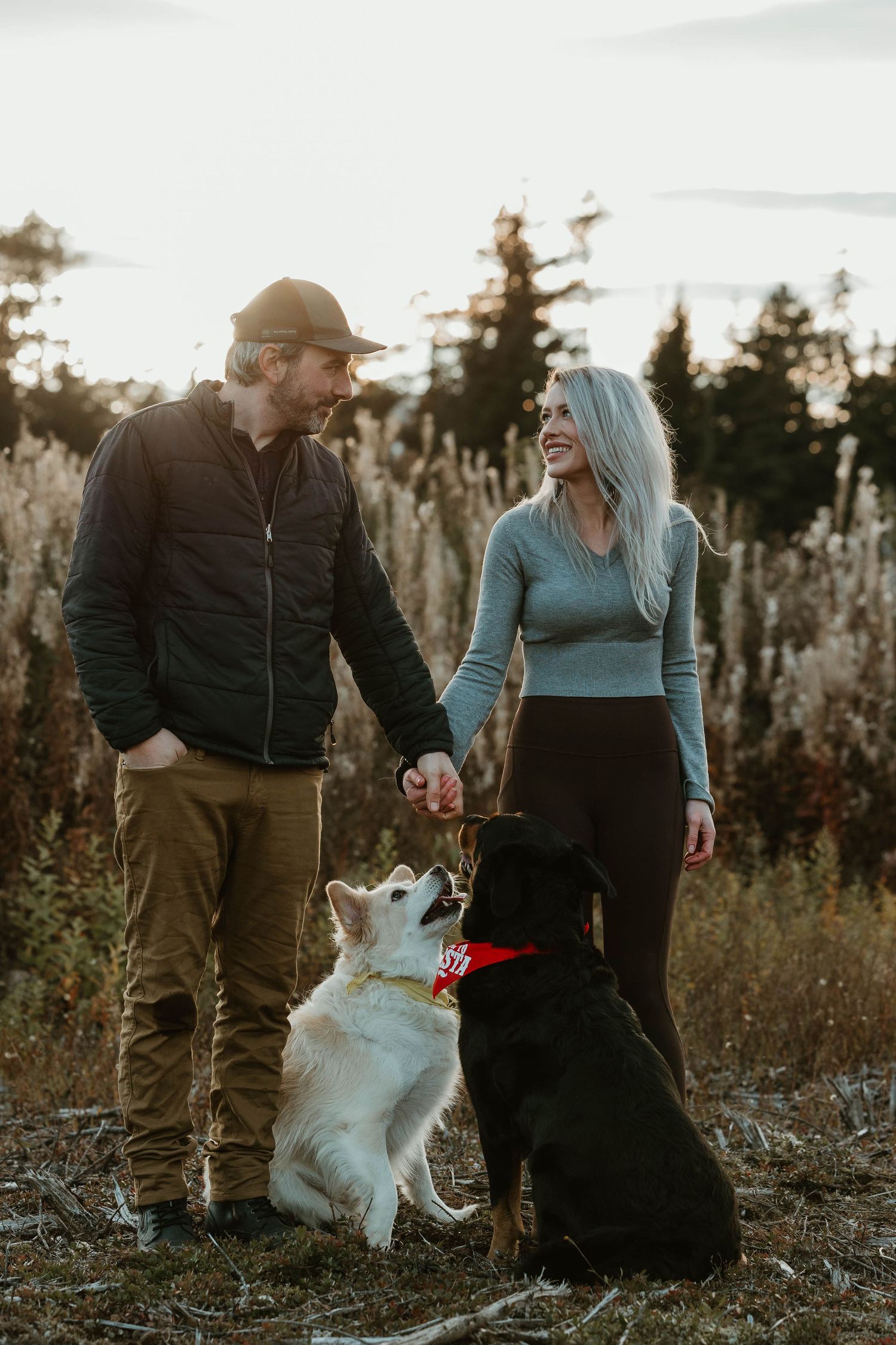 A couple walks their two dogs during golden hour in a field with mountains in background.