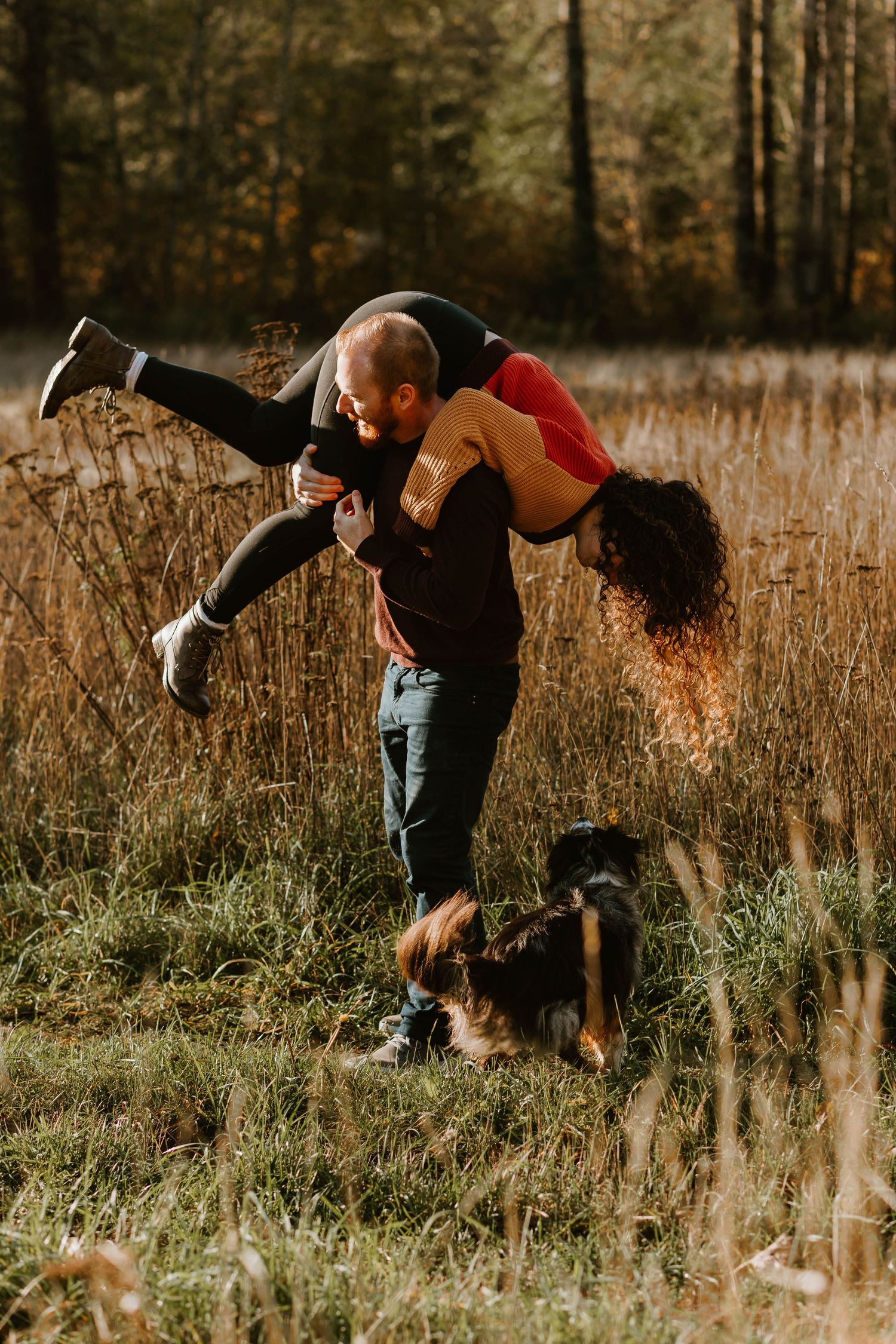 A playful moment captured in a golden field with a couple and their Australian Shepherd dog.