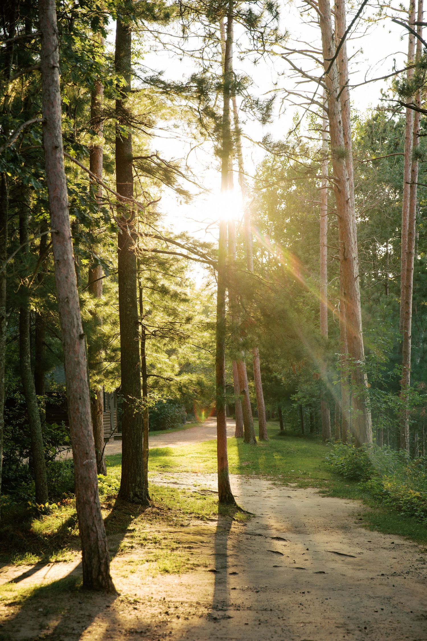 Summer Camp Themed Wedding Photography at Camp Lincoln Camp Lake Hubert in Nisswa Minnesota. Lakeside woodland wedding pictures Up North