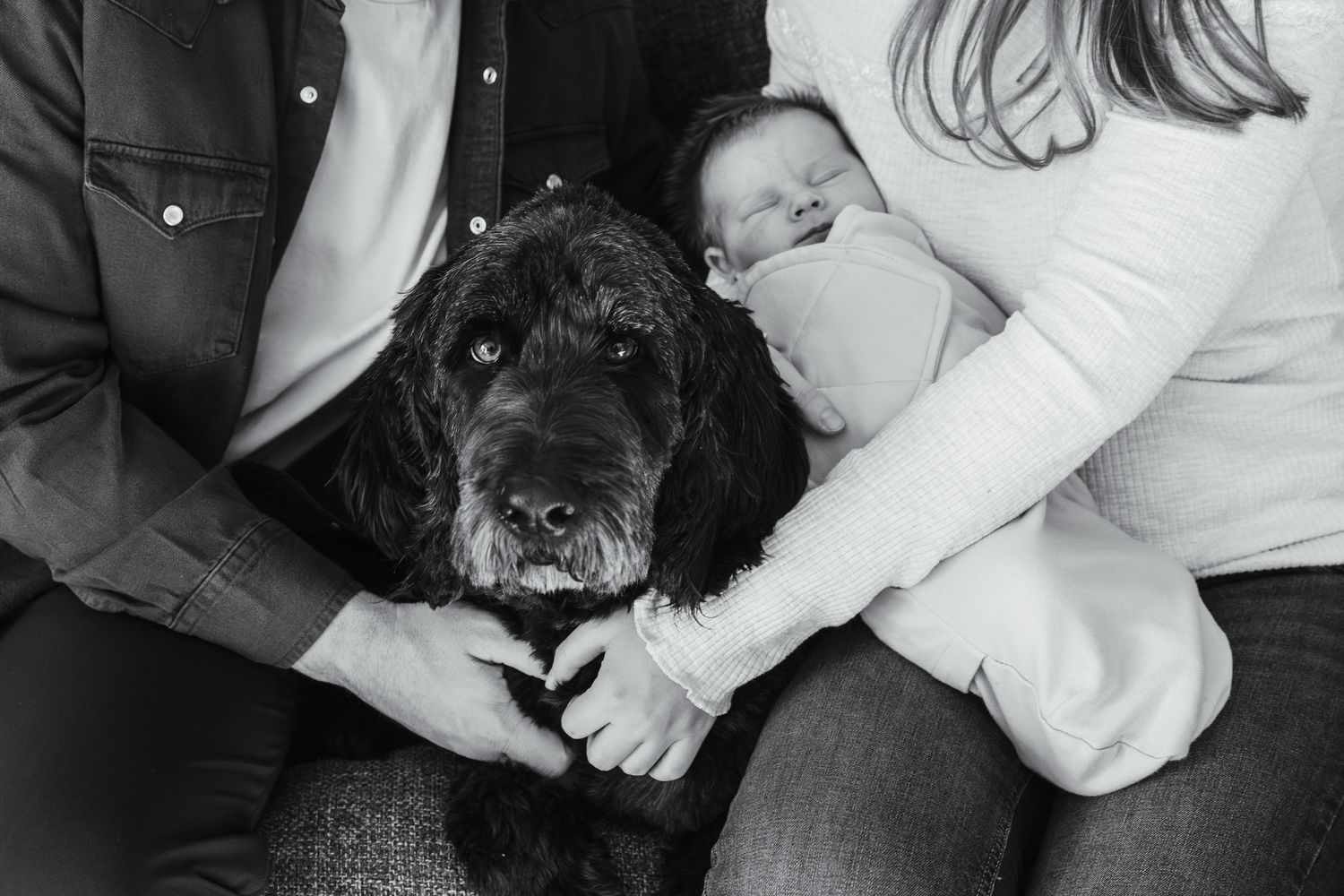 In home newborn family portrait photography photo shoot, grand haven michigan family photographer, spring lake family michigan photographer