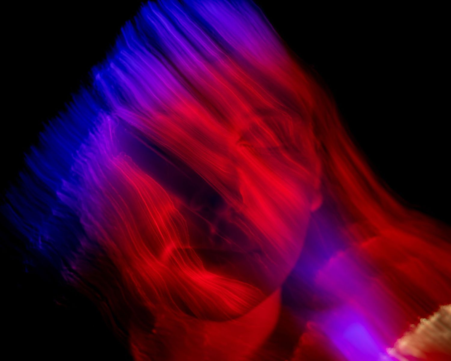 Abstract pattern of blue and red light trails blending together on black background.