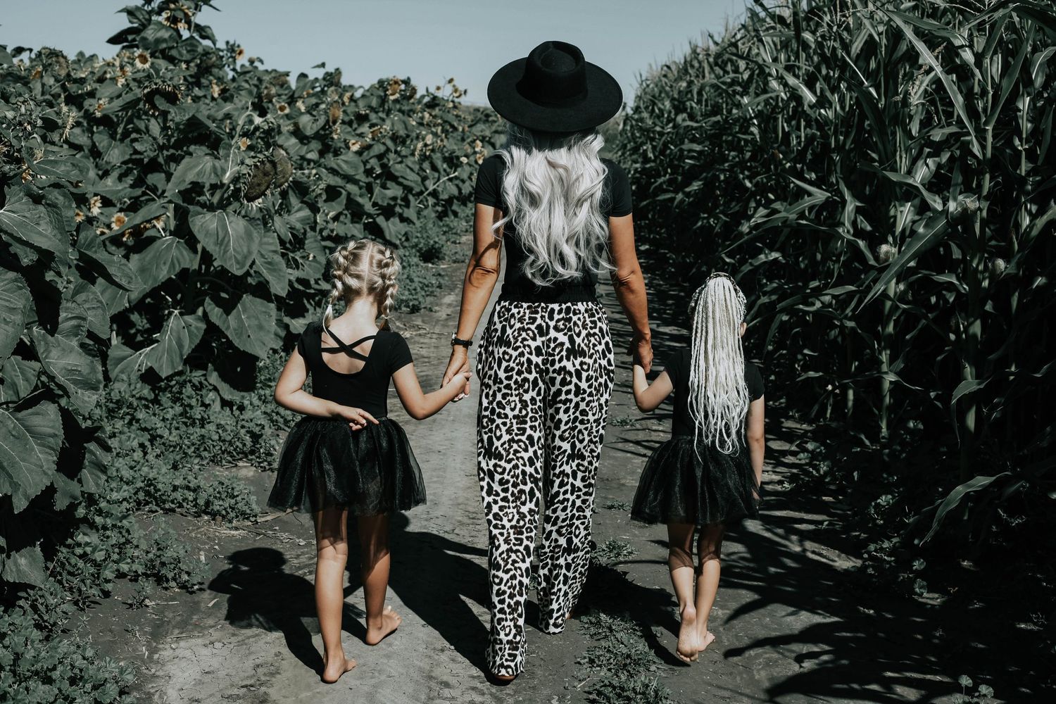 Lethbridge Family Photographer