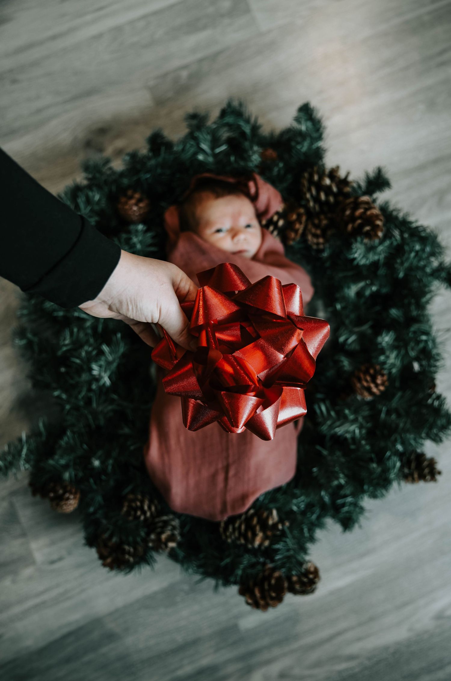 Lethbridge Newborn Photographer