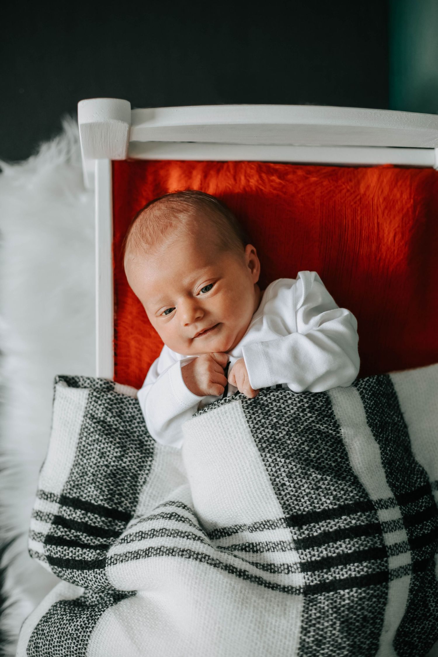 lethbridge newborn photographers