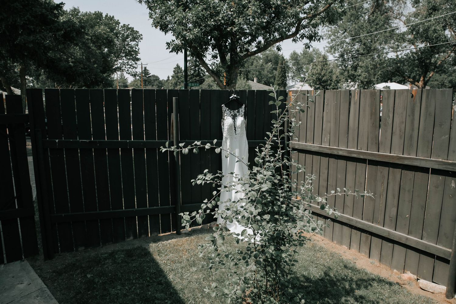 wedding photography in lethbridge alberta