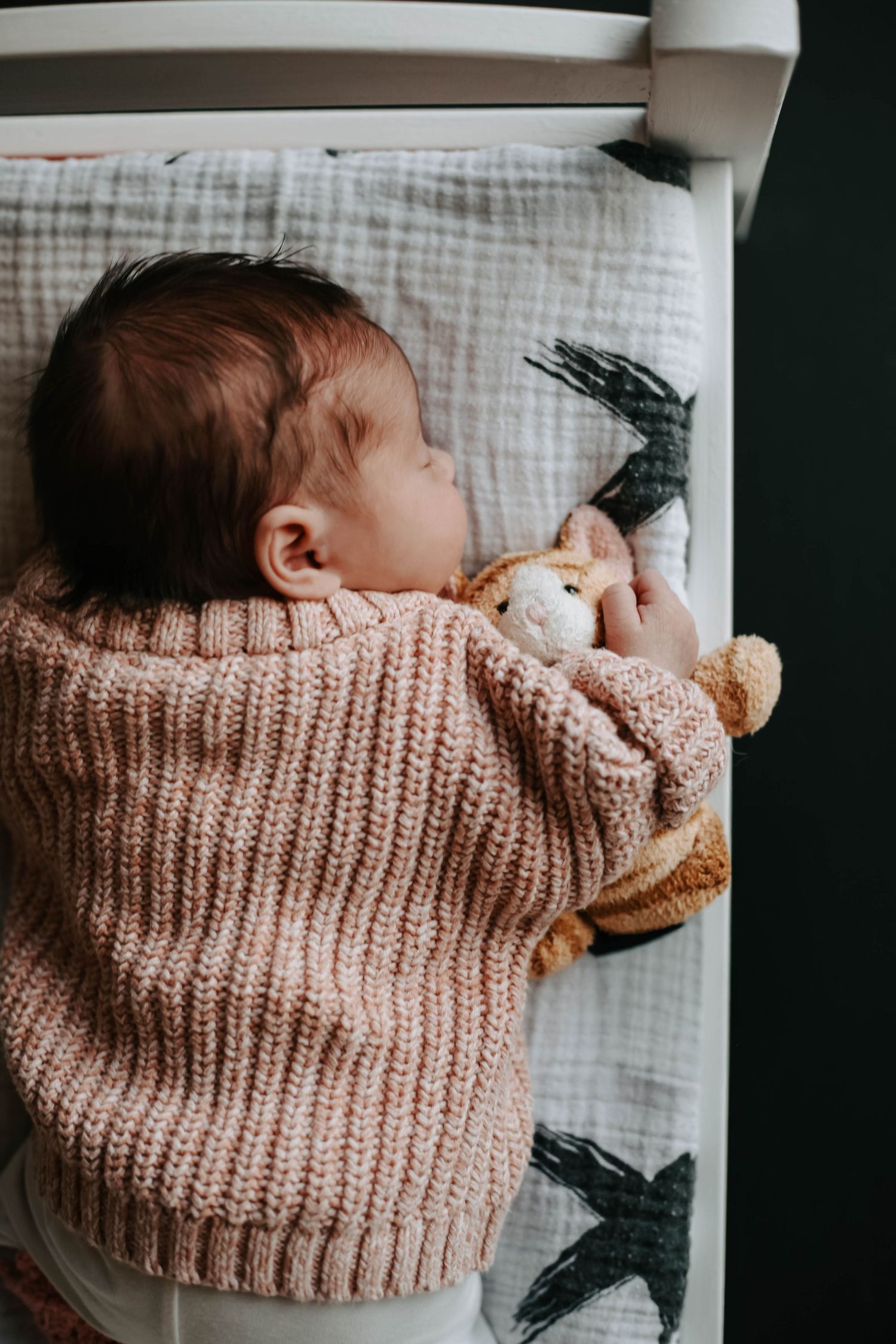newborn photographers lethbridge