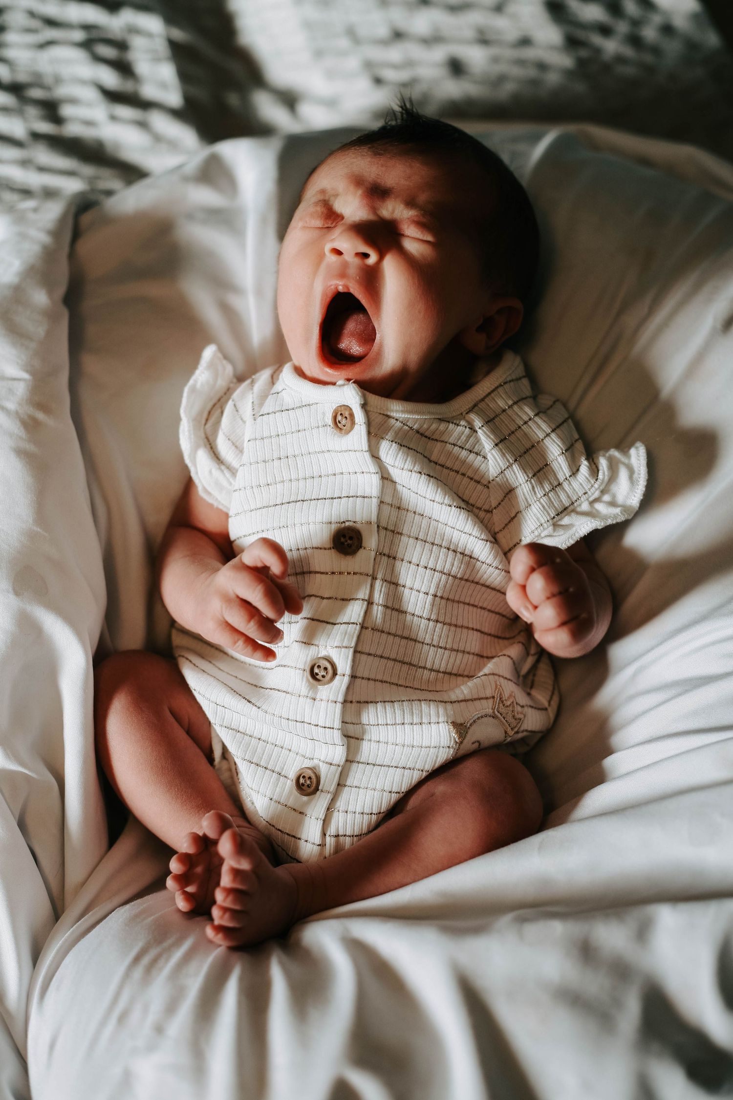 Lethbridge Newborn Photographer