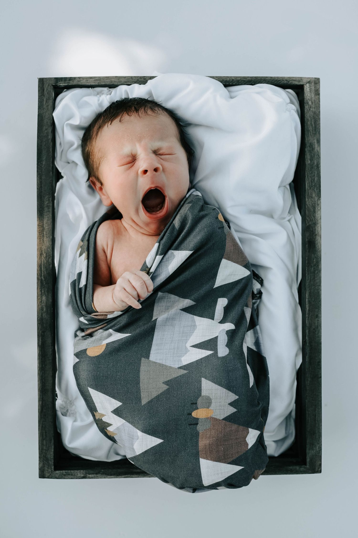 newborn photographers Lethbridge