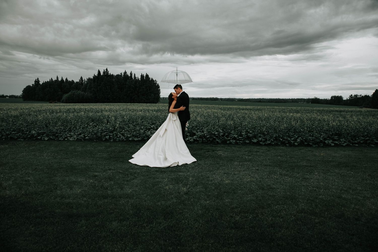 best barn wedding locations and venues in alberta