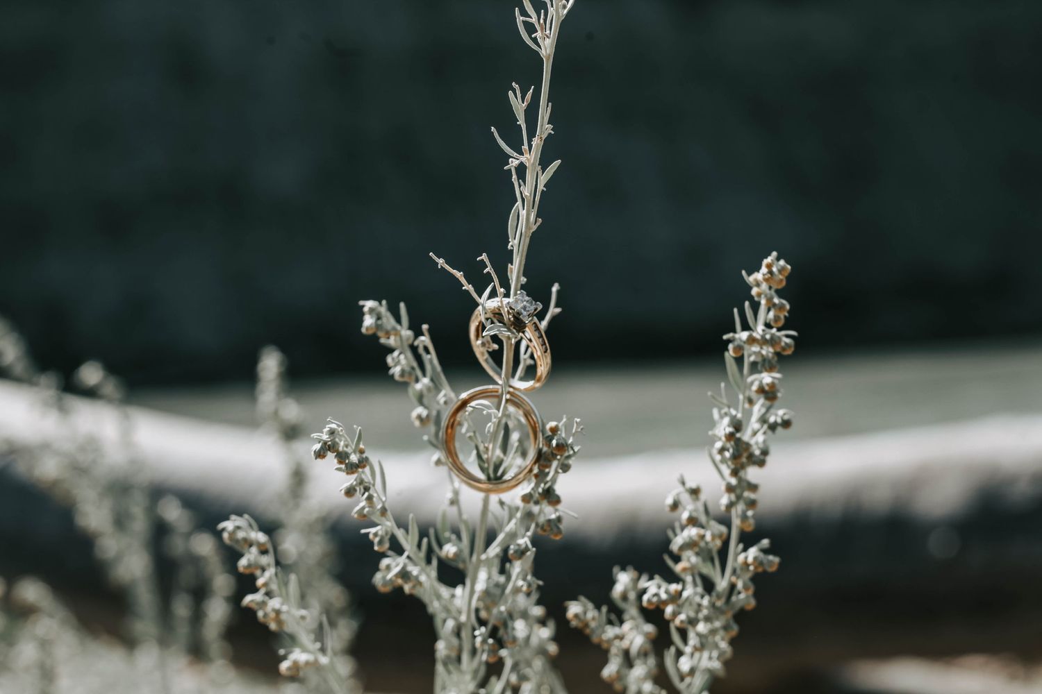 Lethbridge Wedding Photographer