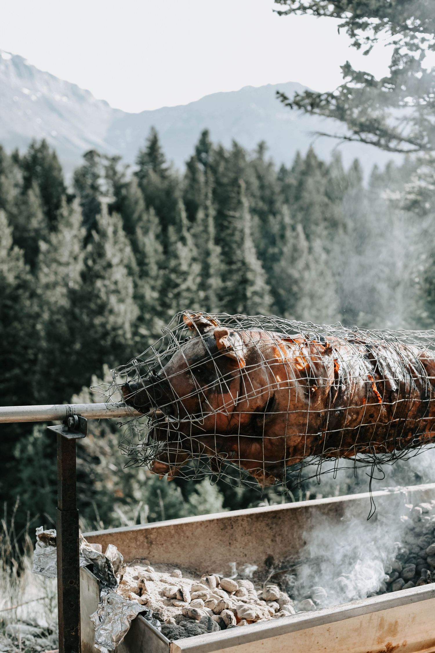 Southern Alberta weddings