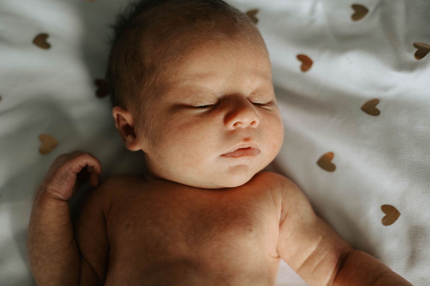 Lethbridge Newborn Photographer