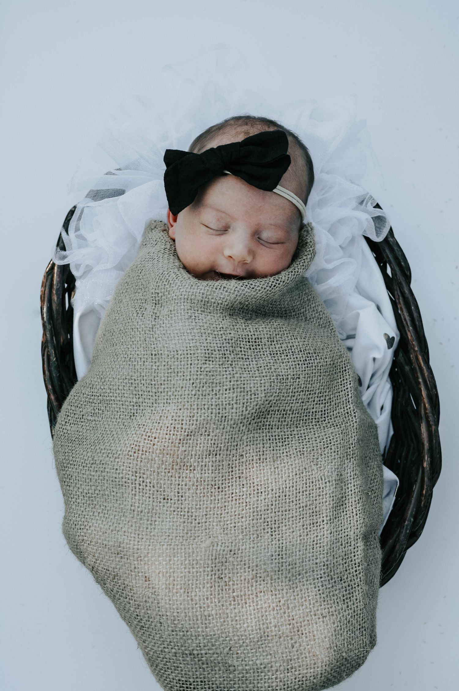 Newborn Photographer Lethbridge