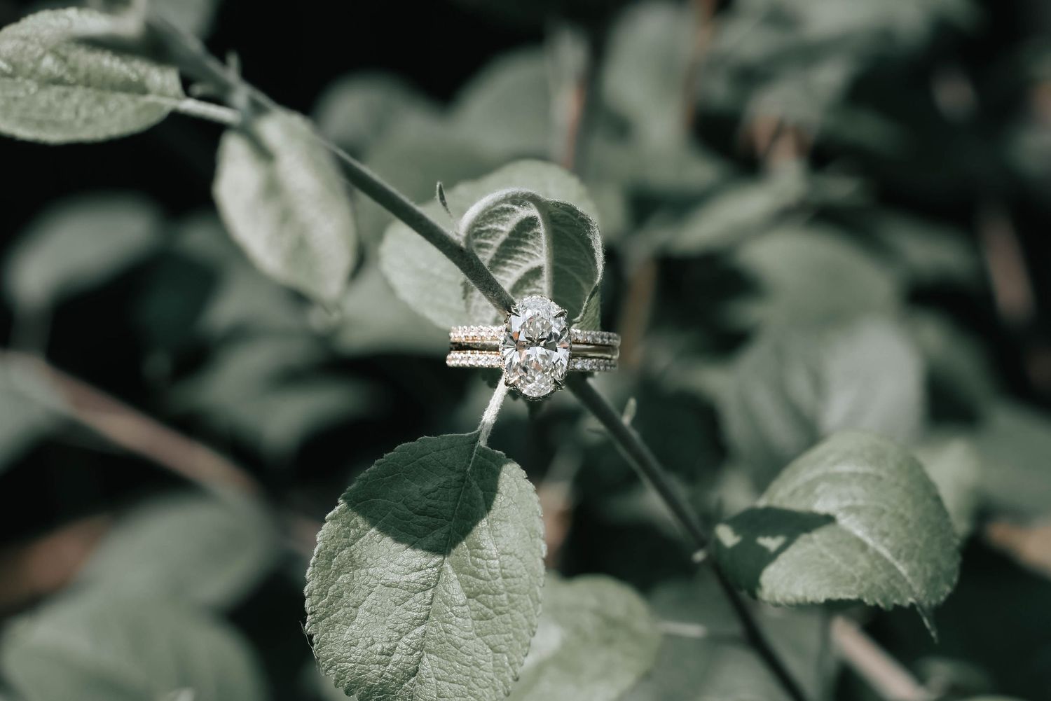 wedding photography in lethbridge alberta