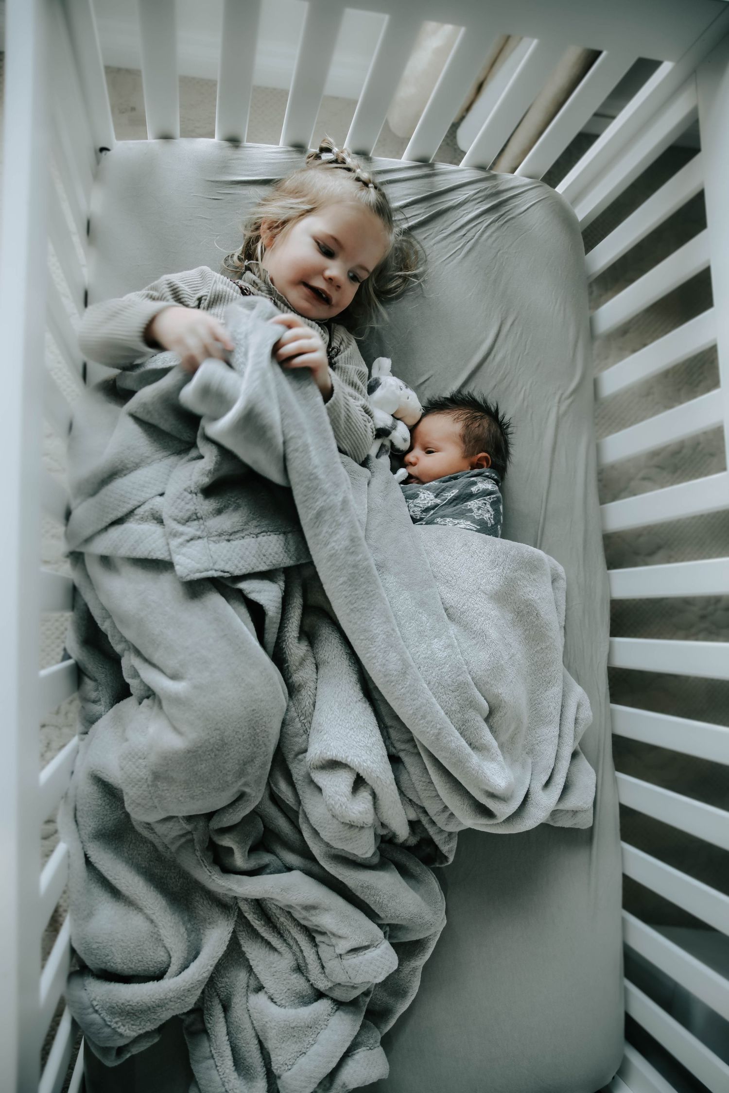 Lethbridge Newborn Photographer