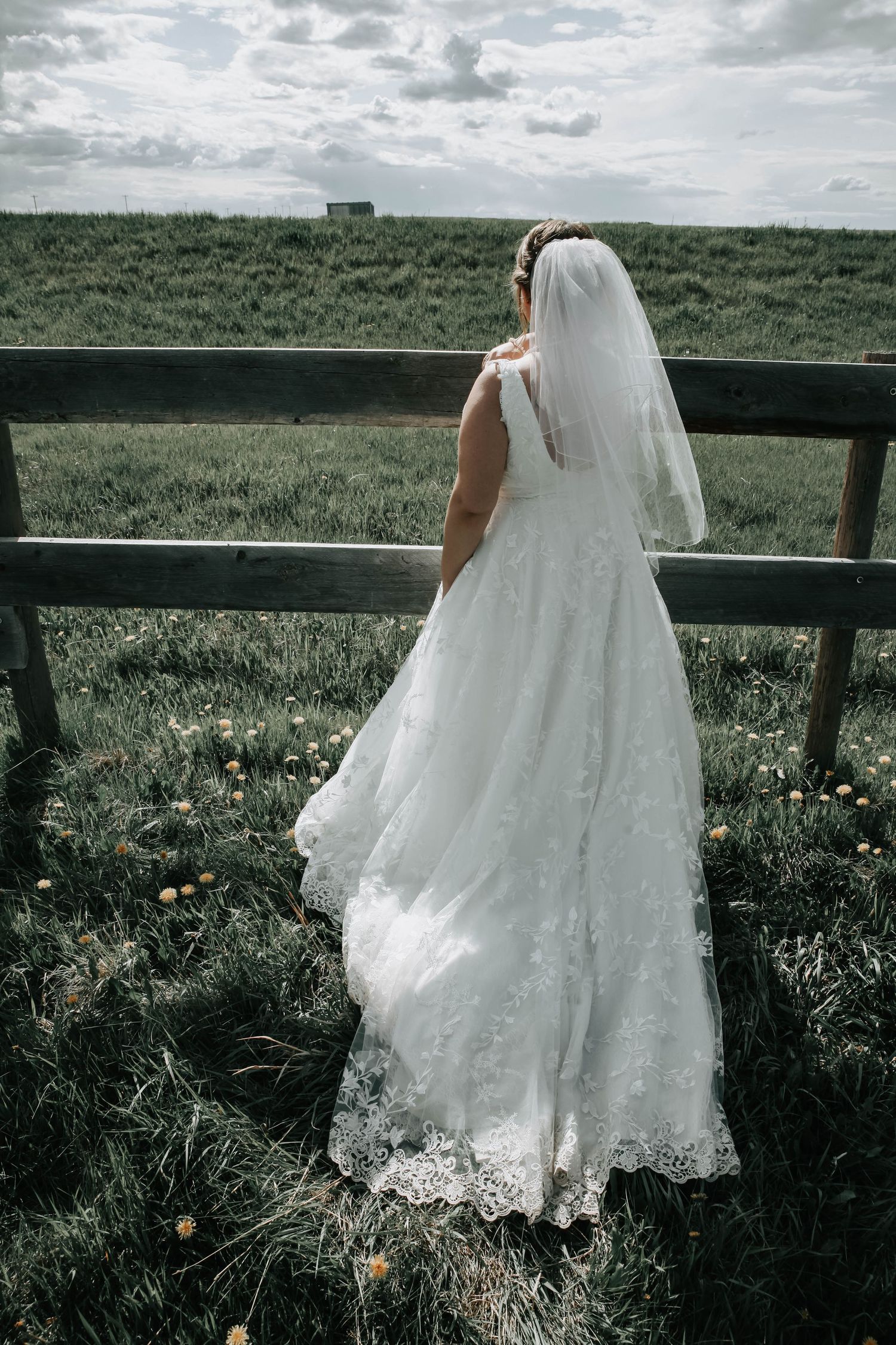 Wedding photographers Lethbridge