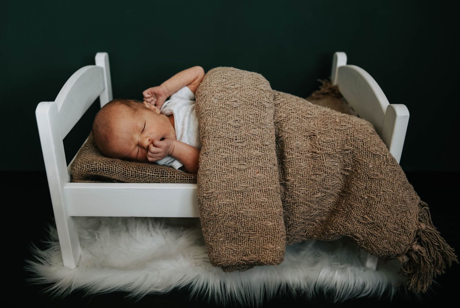 lethbridge newborn sessions