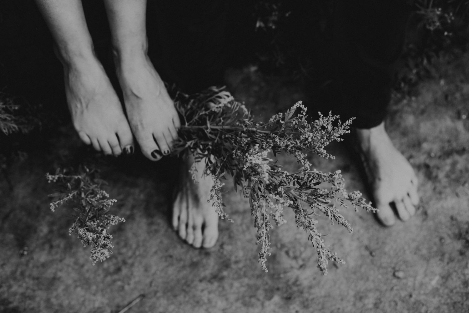 Lethbridge engagement photographer