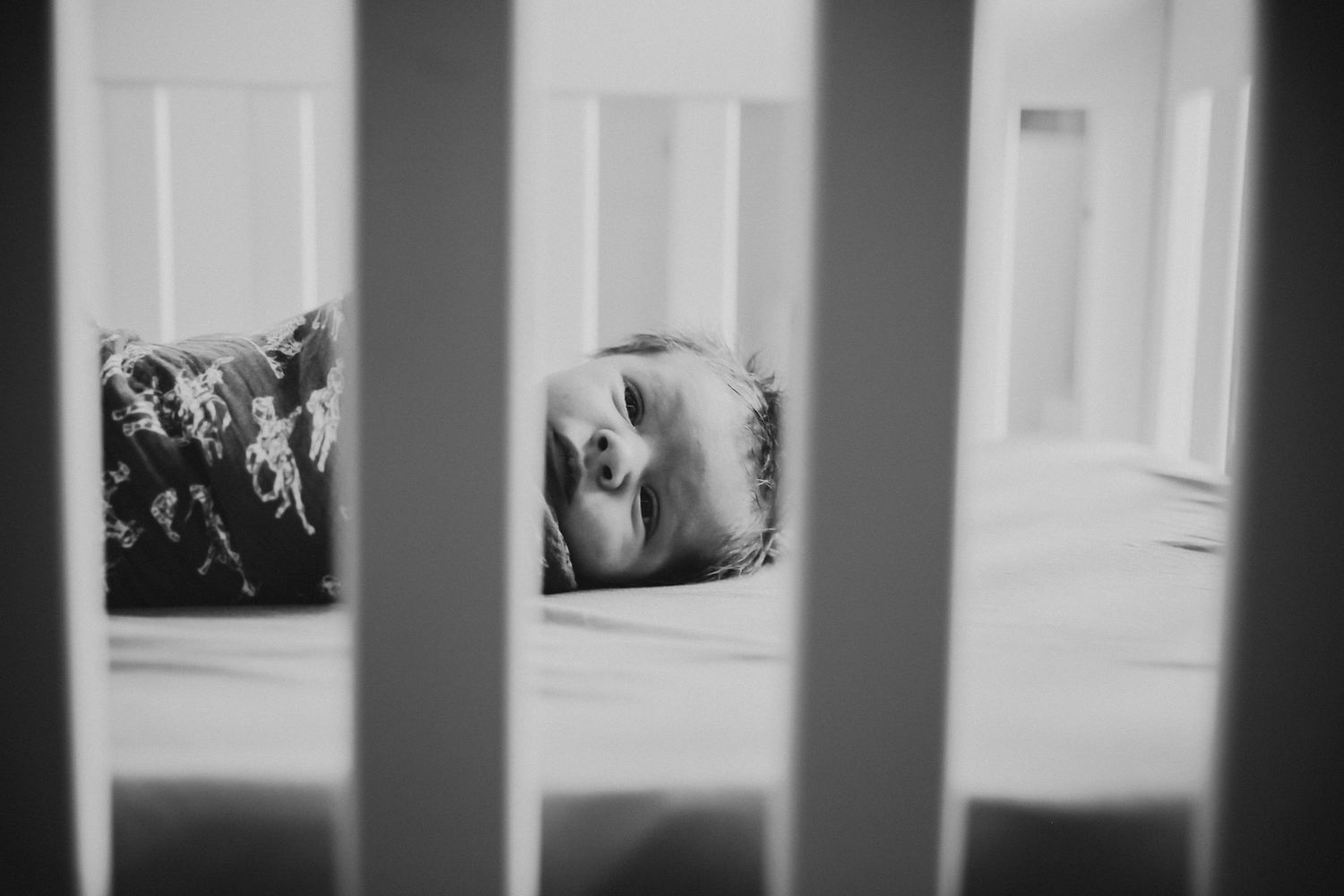 Lethbridge Family Photographer