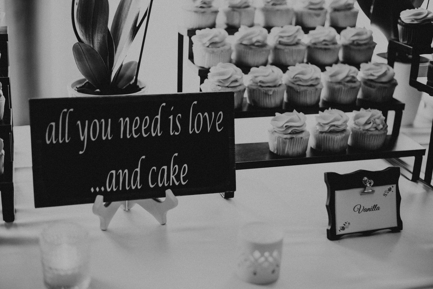 wedding photography in lethbridge alberta