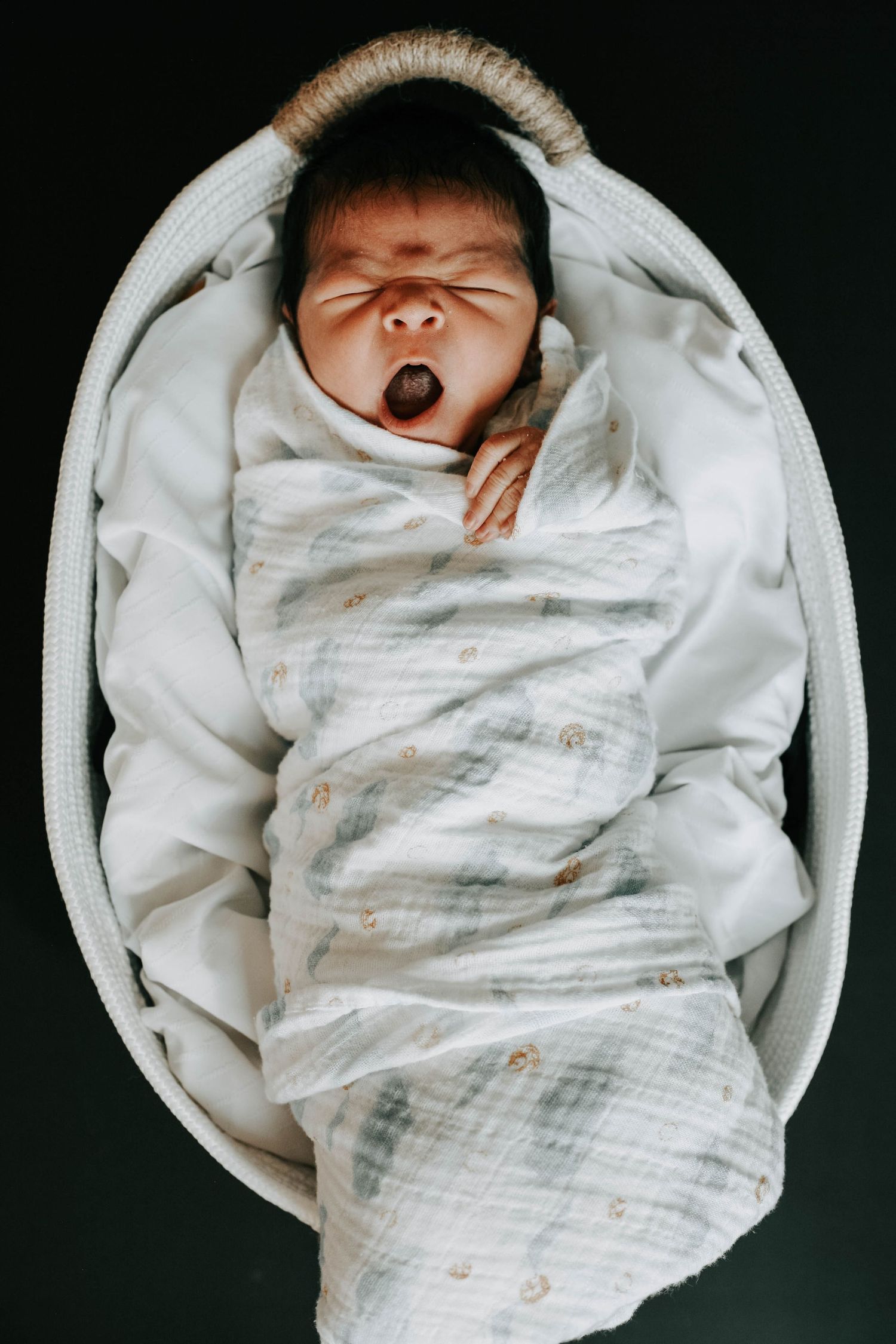 family photographers in lethbridge