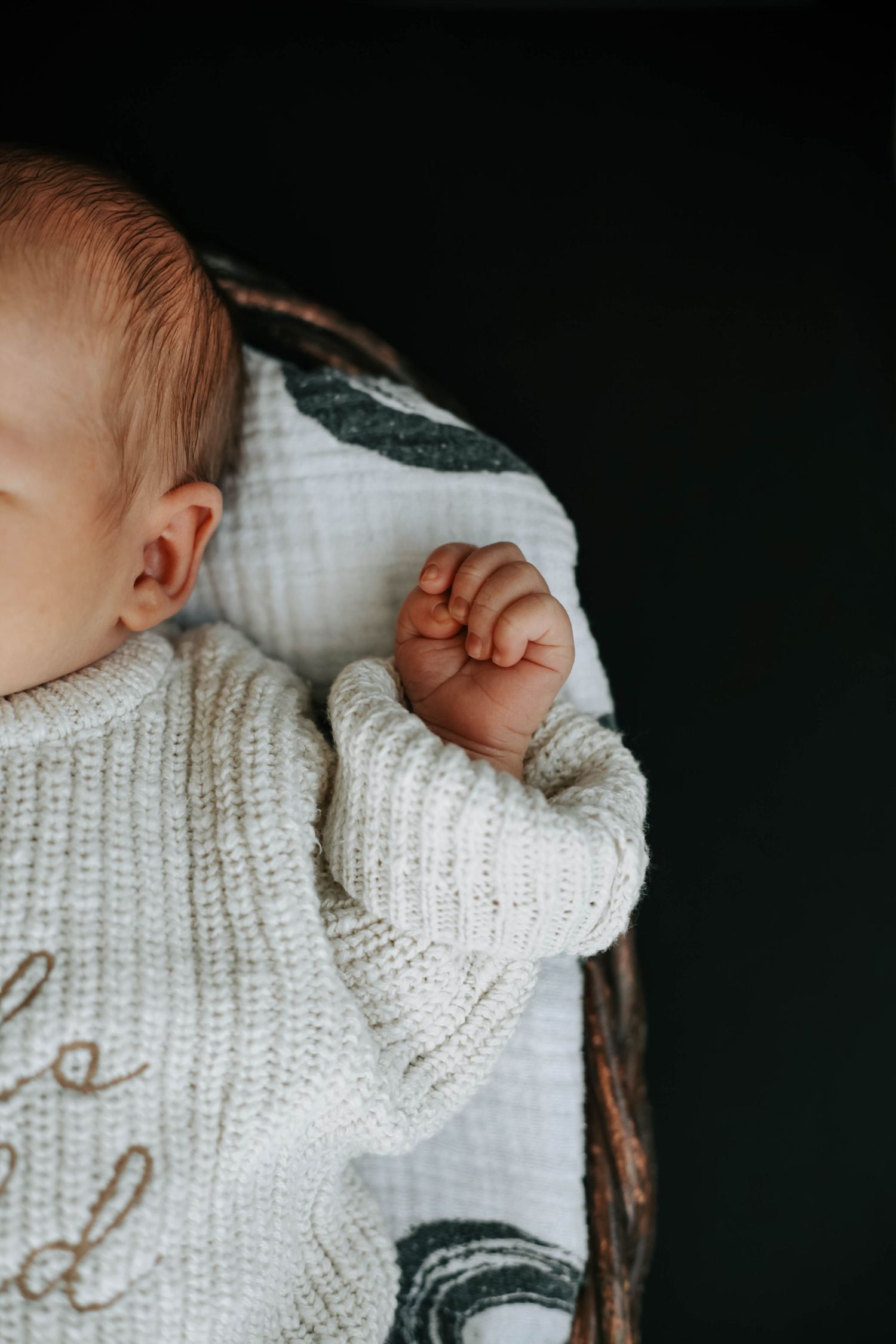 lethbridge newborn photographer