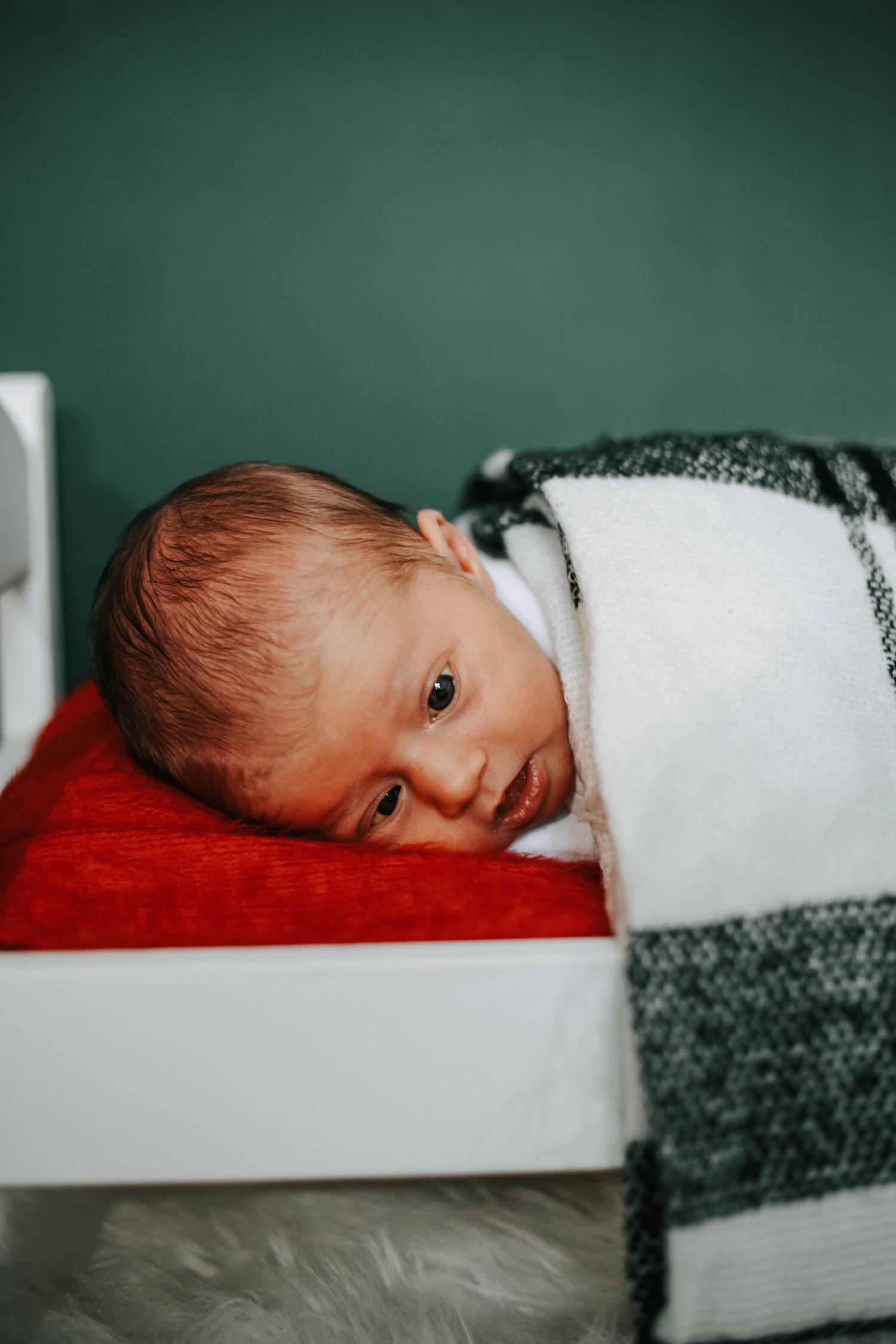 lethbridge newborn photographers