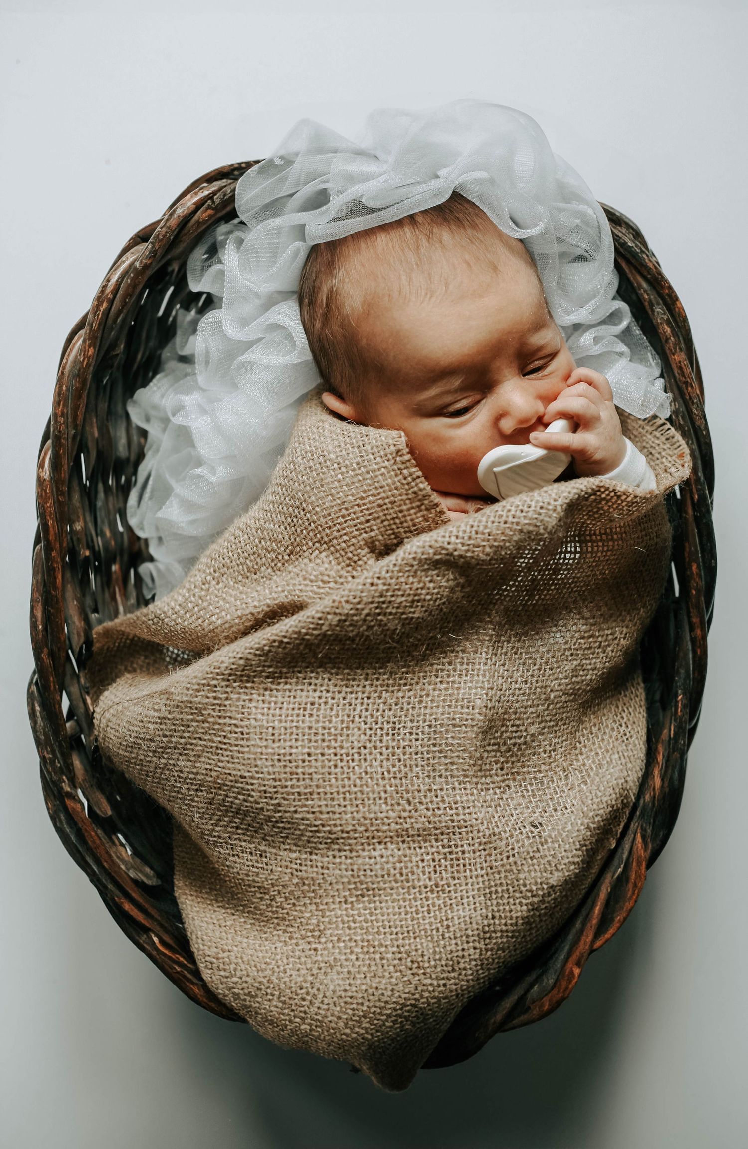 Lethbridge Family Photographer