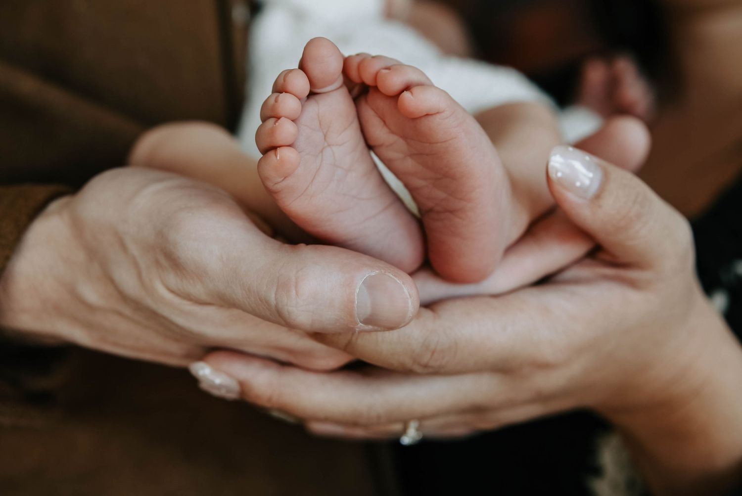 best newborn photographers lethbridge