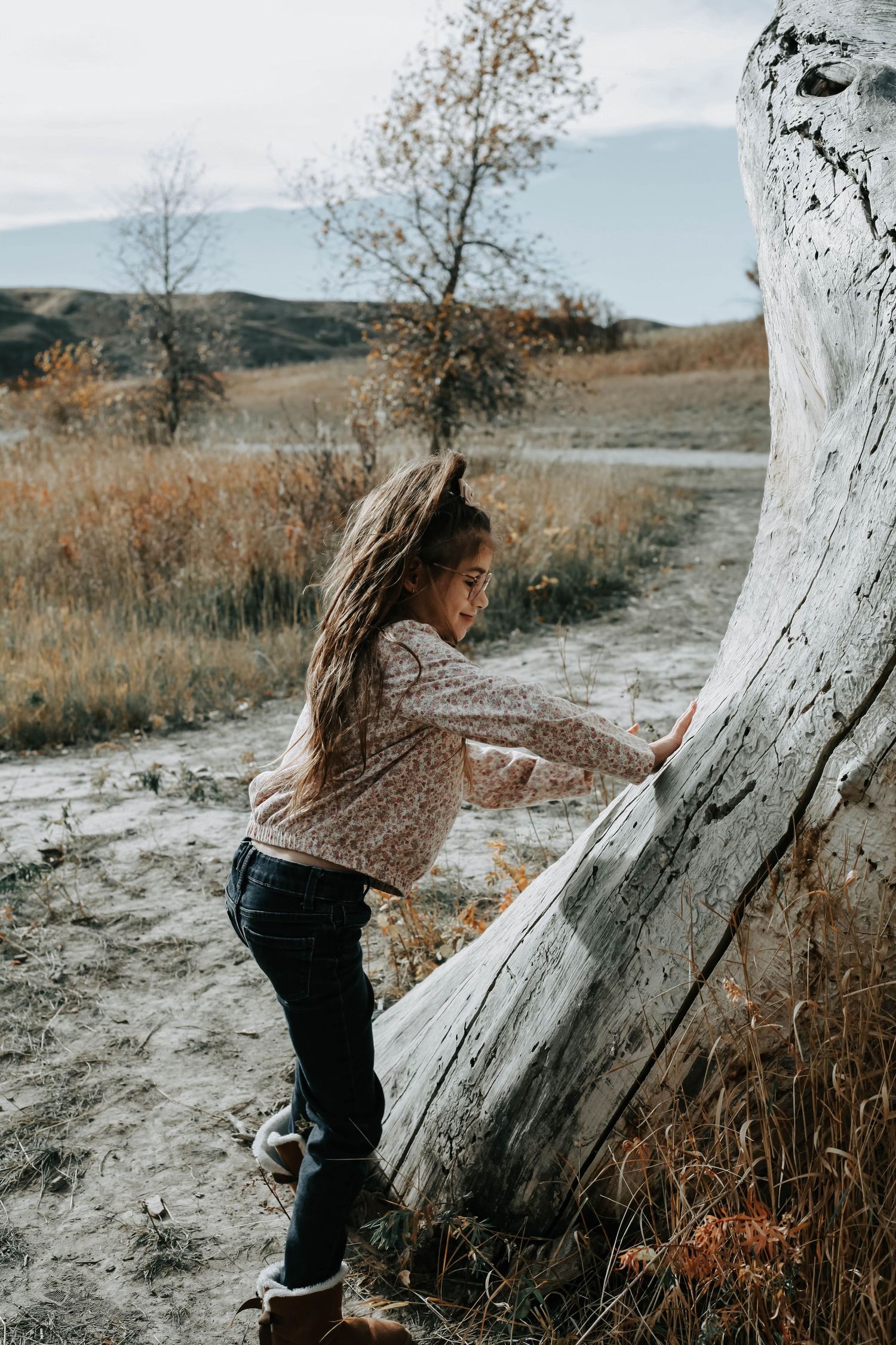 Lethbridge Family Photographer