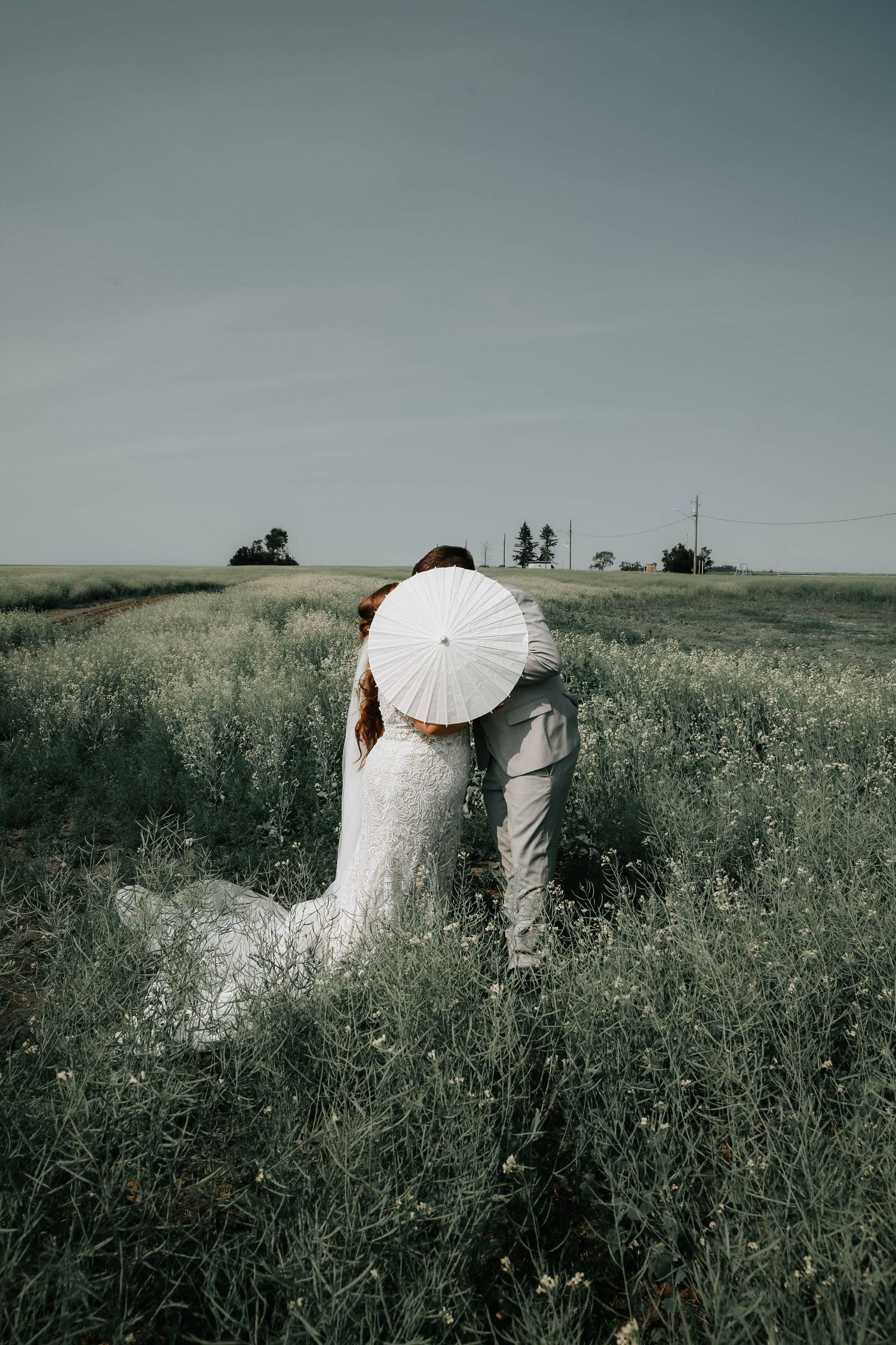 wedding photographer in virden manitoba - backyard wedding in manitoba
