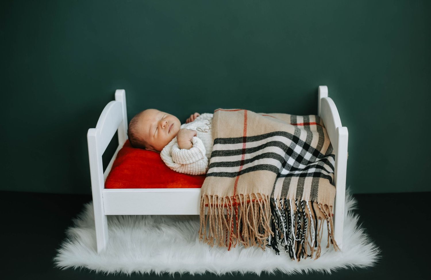 best newborn photographers lethbridge
