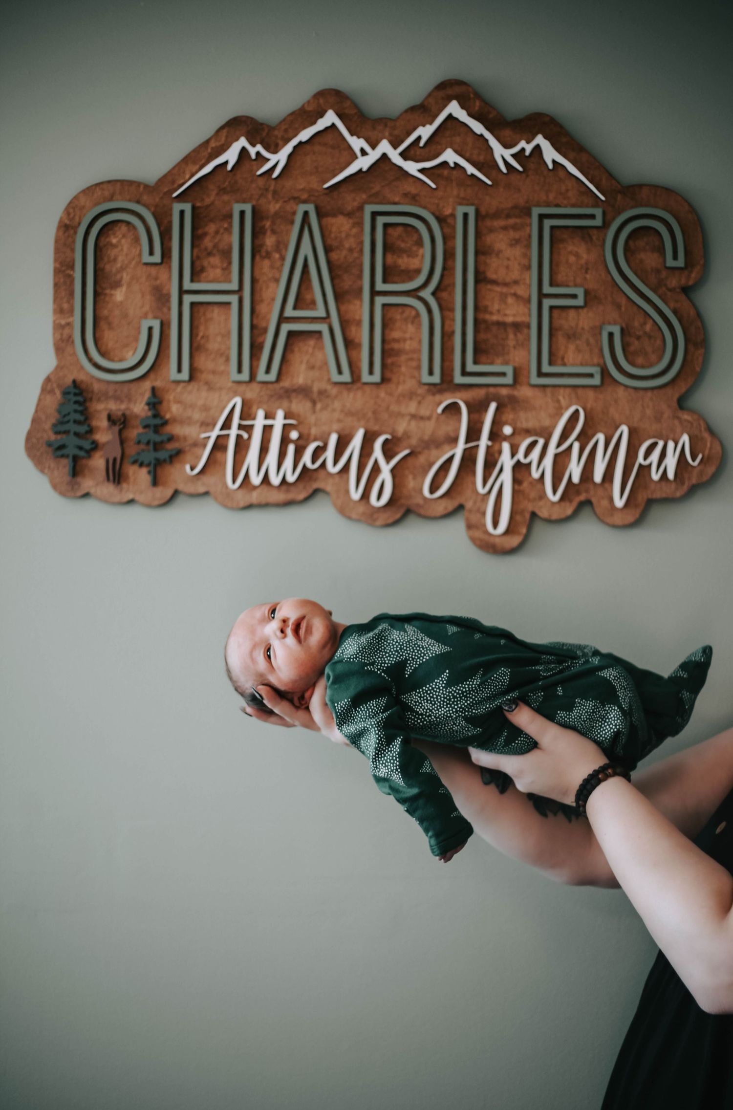 newborn photographers lethbridge