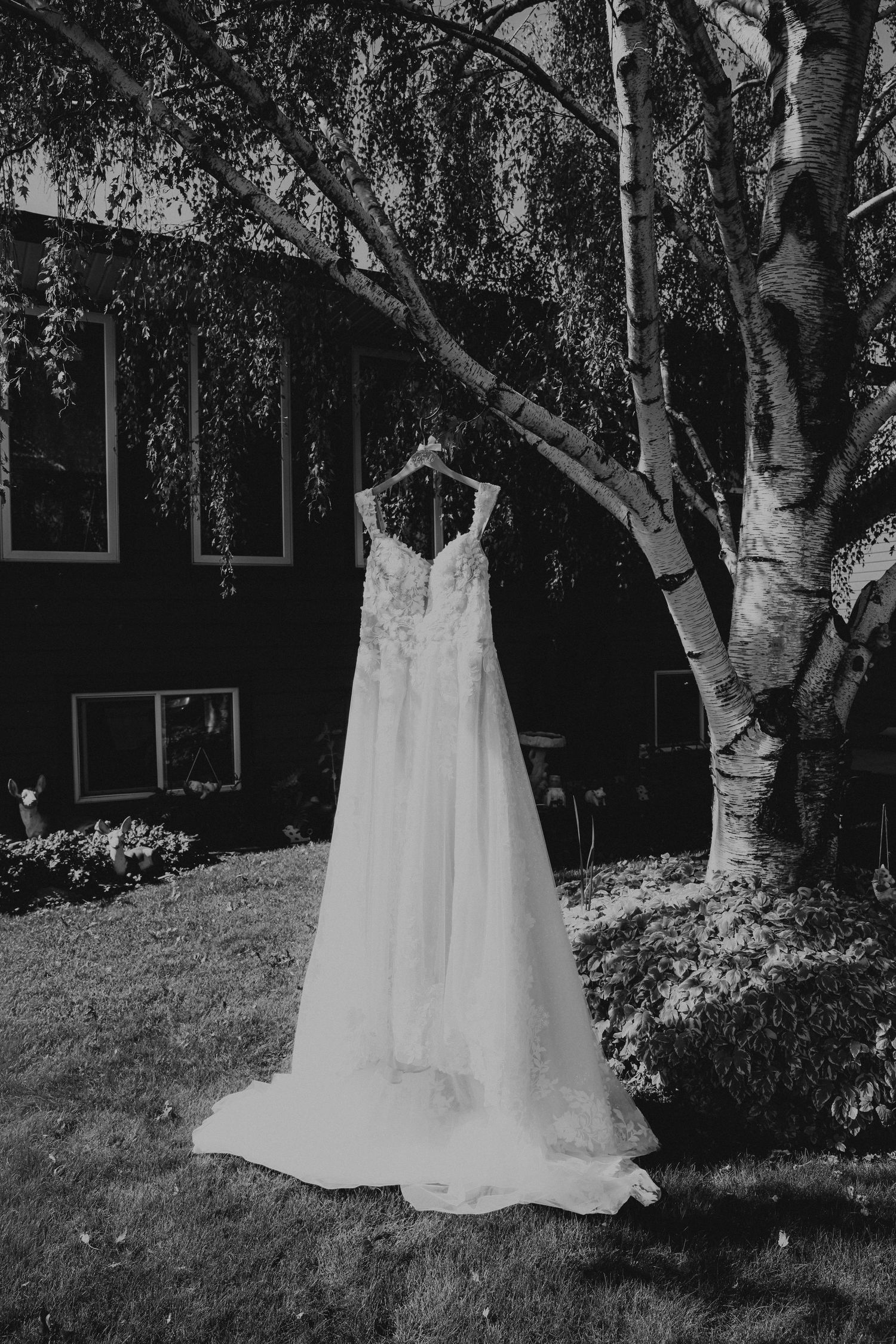 wedding photography in lethbridge alberta
