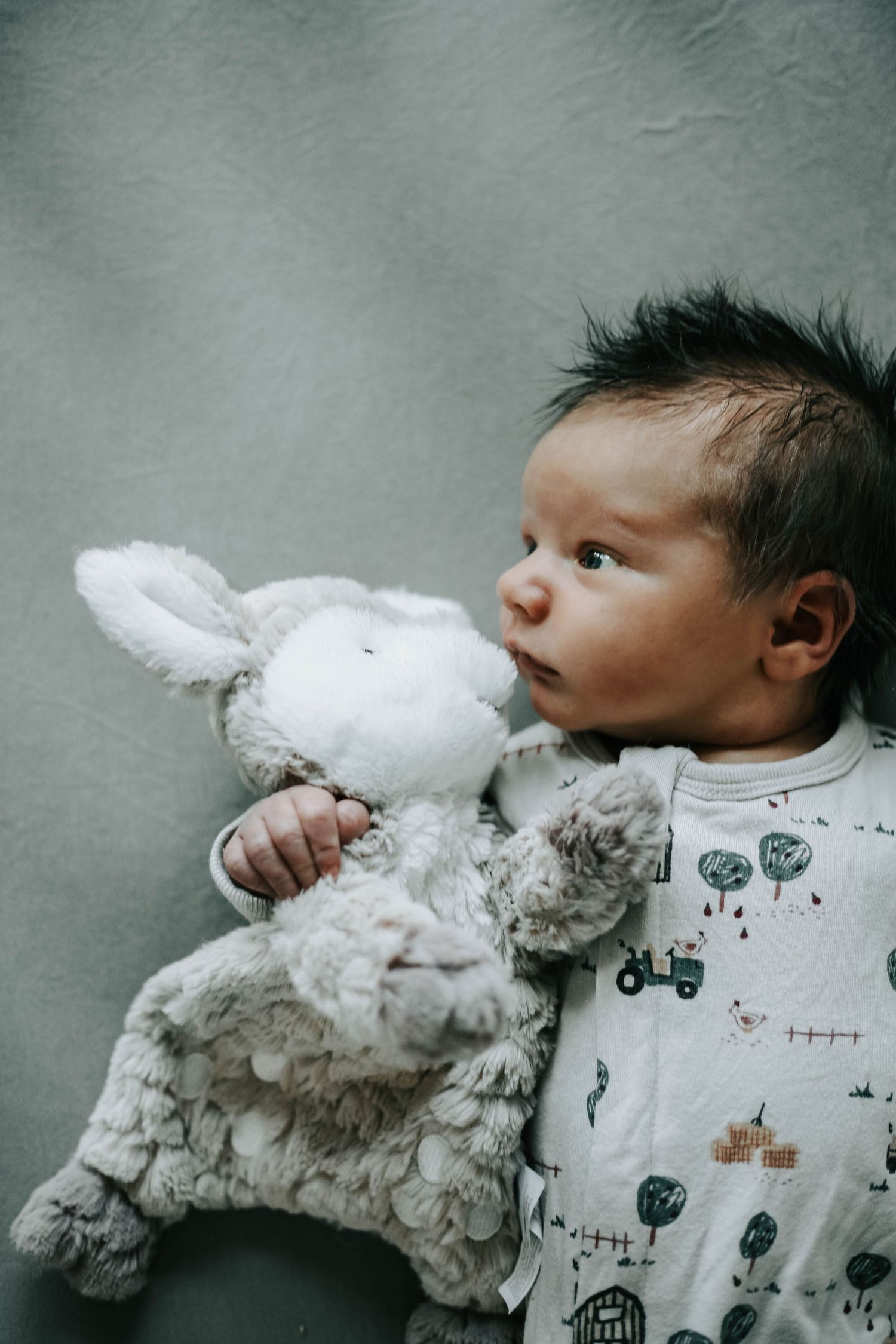 Lethbridge Newborn Photographer