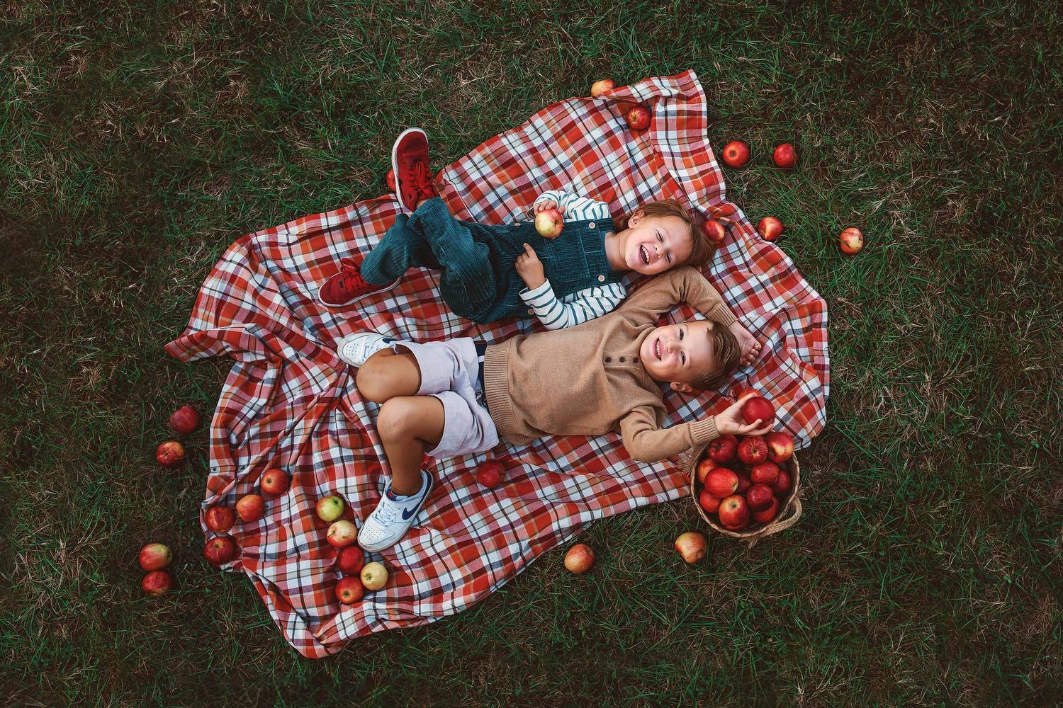 Two people lie on a red plaid blanket surrounded by scattered tomatoes on green grass, viewed from above.