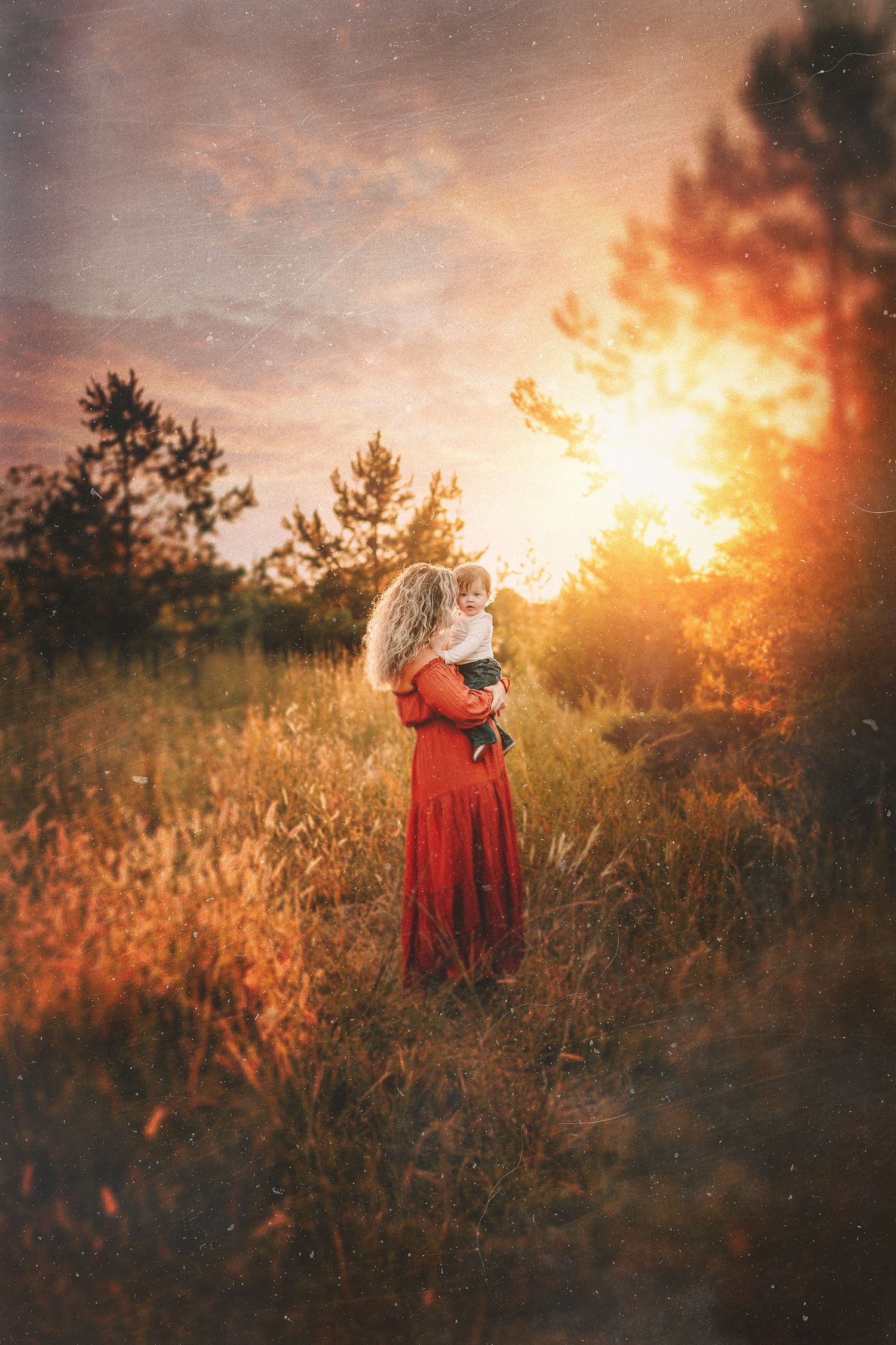 Beautiful golden sunset scene in a meadow with tall grass and trees silhouetted against the sky.