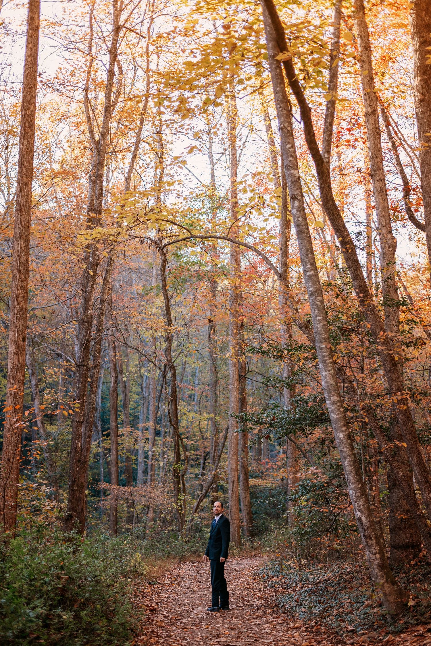 Person standing alone on a leaf-covered forest path surrounded by tall trees with vibrant autumn foliage in warm orange hues.