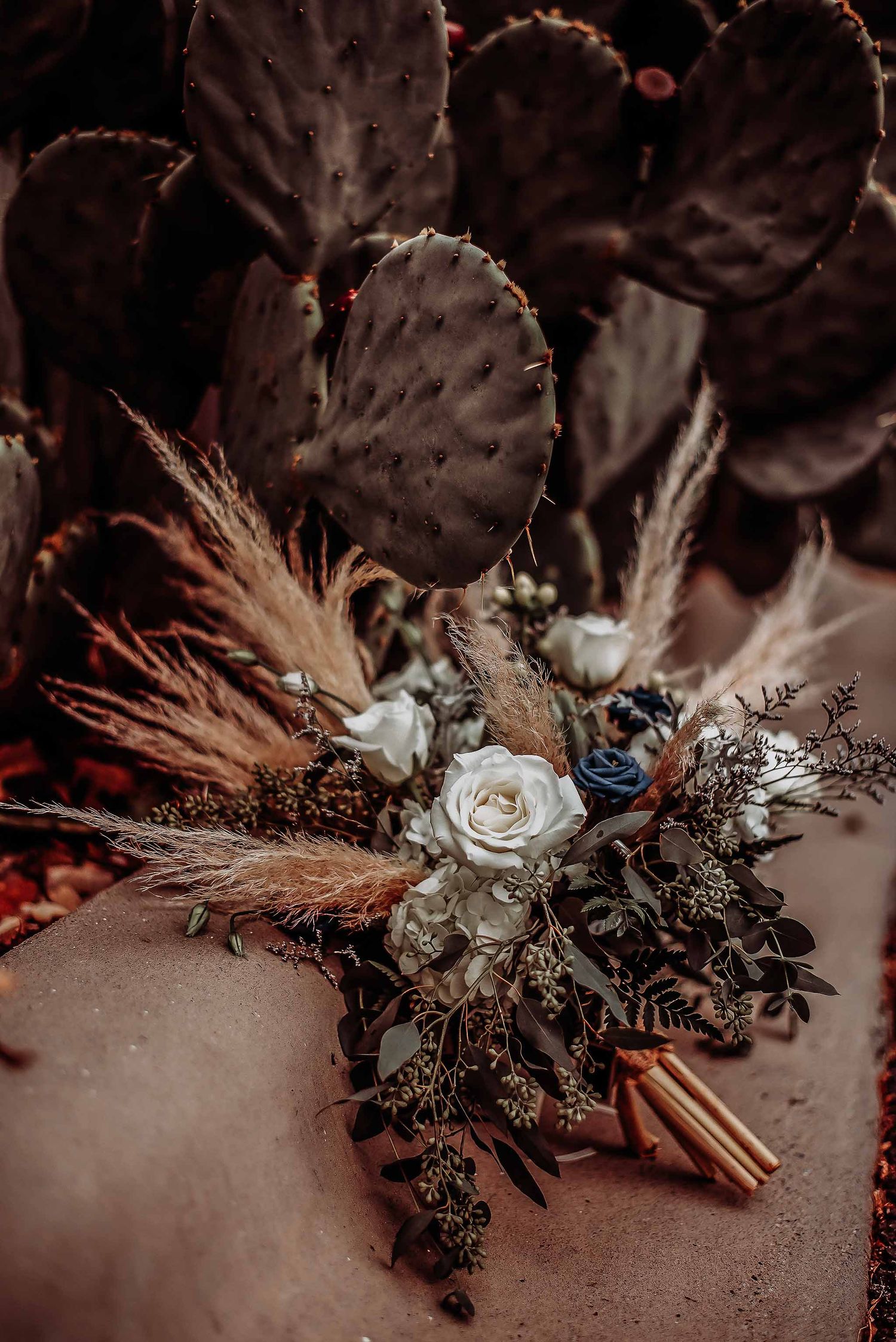 Boho wedding bouquet with white and blue roses, pampas grass, and dried botanicals resting against prickly pear cacti.