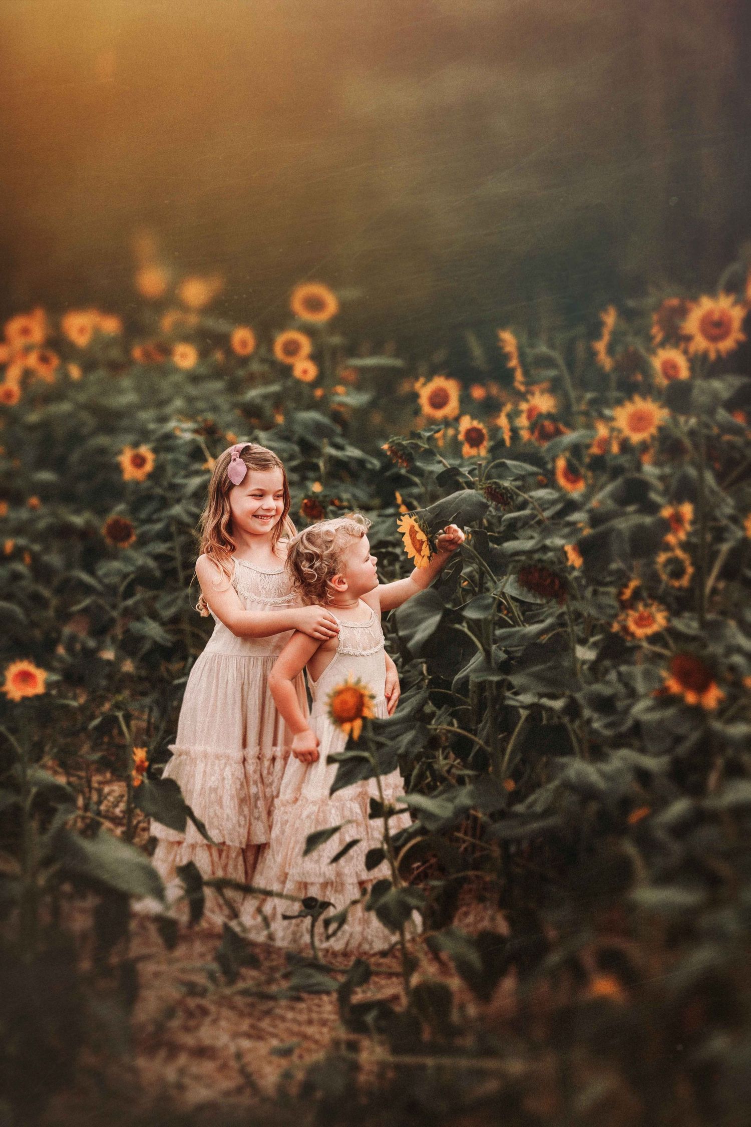 Dreamy sunset photoshoot in a blooming sunflower field with warm golden lighting.