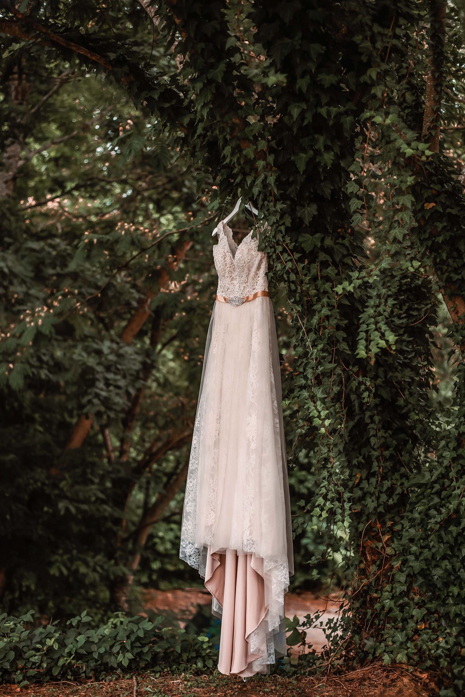 A delicate lace wedding dress hanging from ivy-covered trees in a lush garden setting.