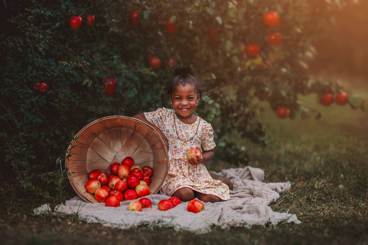 A child sits on a blanket in a garden with a spilled basket of bright red apples during golden hour.