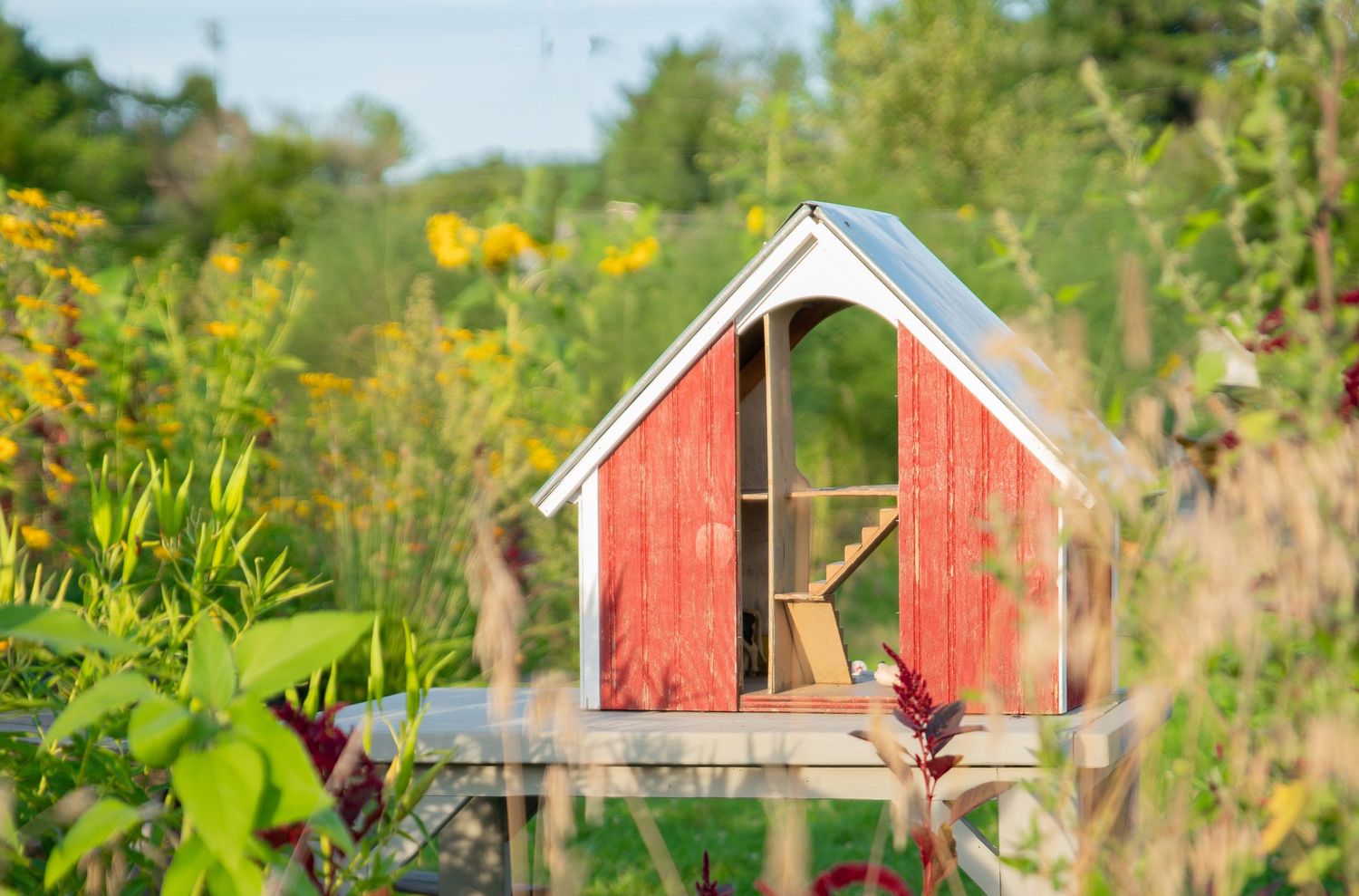 Red wooden birdhouse surrounded by lush green plants and yellow wildflowers in a sunny garden setting. Pitney Meadows Farm, Saratoga Springs