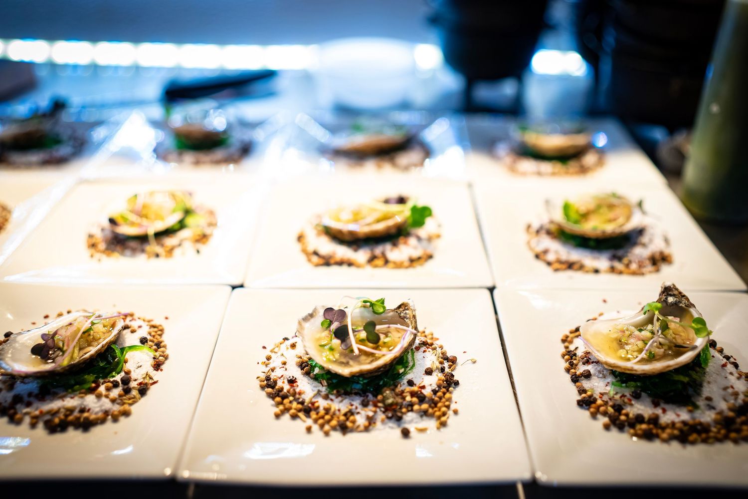 Photo of gourmet dish featuring an oyster on a bed of salt and mixed grains. The oyster is topped with finely diced garnish and microgreens.