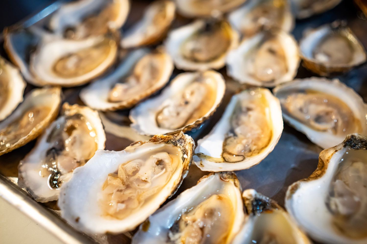 A photo of multiple oysters sitting on top of a plate.