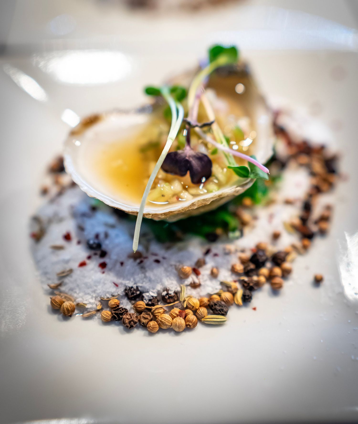 A gourmet dish featuring an oyster on a bed of salt and mixed grains. The oyster is topped with finely diced garnish and microgreens.