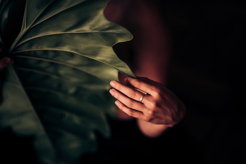A ringed hand emerges from behind a large tropical leaf in dramatic lighting.