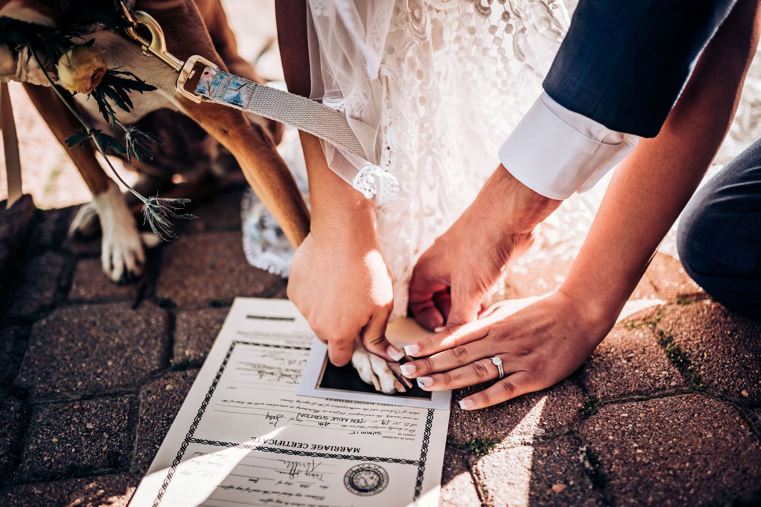Close-up of hands signing marriage certificate with dog watching nearby.