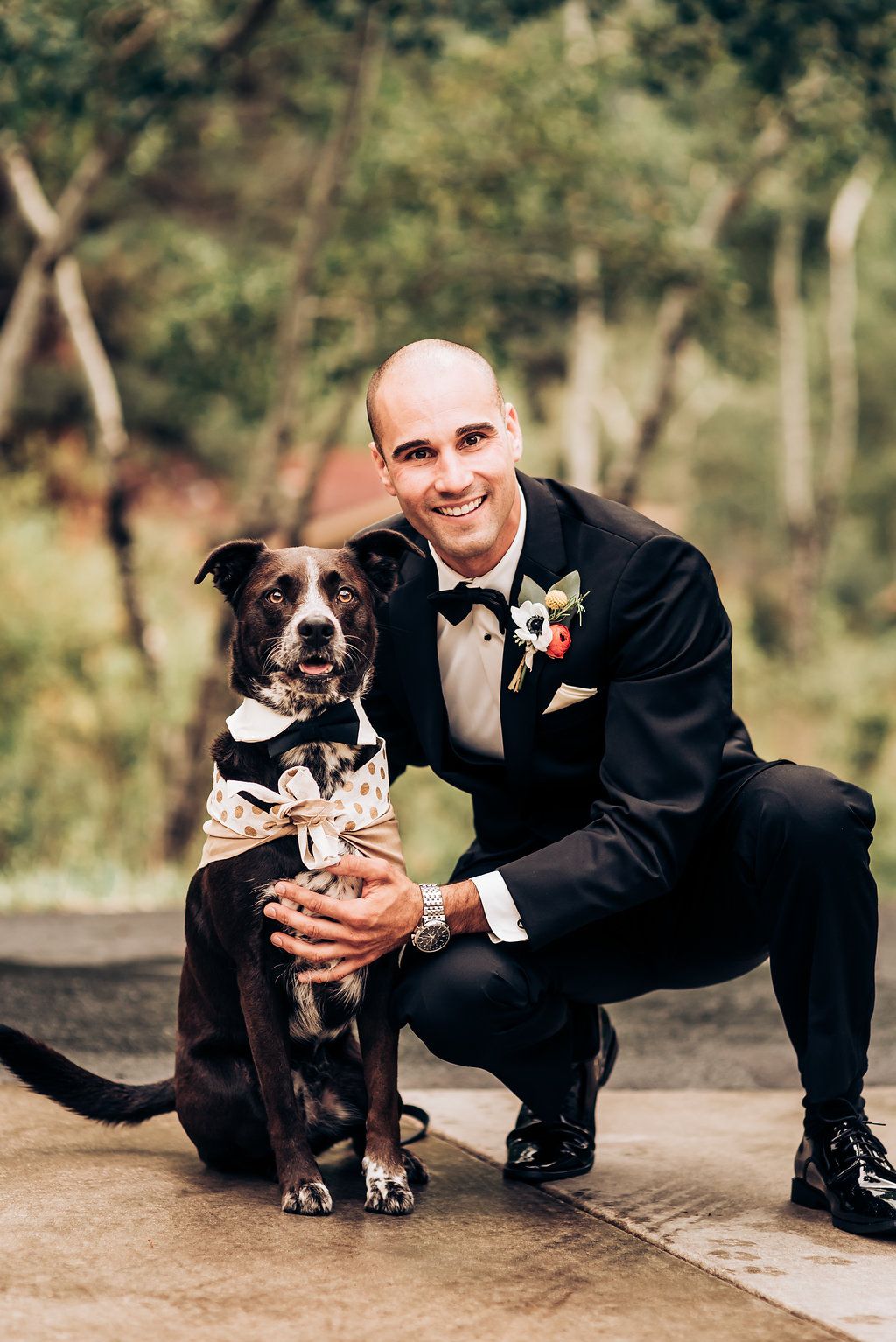 Formal wedding portrait with dark brown dog wearing matching bow tie.